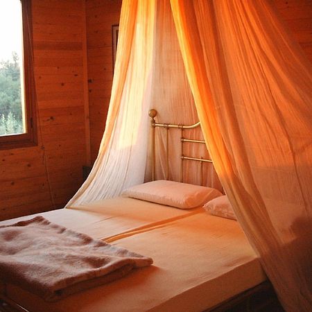 Ecochiocciola Hotell Montese Rom bilde